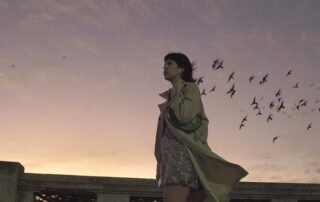 Dejando atrás pájaros y aviones. Bruna. 7 Bruna plano con pajaros